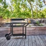 Plancha électrique Forge Adour Premium 60 inox 2 feux 60 x 40 – Image 4