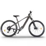 VTT Électrique UrbanBiker UB300