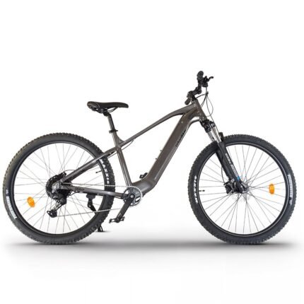 VTT Électrique UrbanBiker UB300