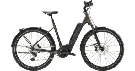 Vélo électrique DIAMANT 138 Wave 545Wh