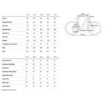 Vélo Électrique Cube Nuride Hybrid SLX 800 Allroad 2025 – Image 2