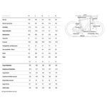 Vélo Électrique Gravel Cube Nuroad Hybrid C:62 SLX 400X 2025 – Image 3