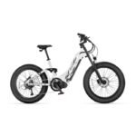 vélo à assistance électrique Cyrusher Trax – Image 4