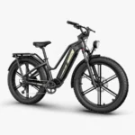 Fiido Titan Fat Tire Touring Vélo électrique – Image 5