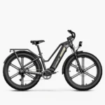 Fiido Titan Fat Tire Touring Vélo électrique