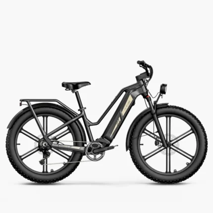 Fiido Titan Fat Tire Touring Vélo électrique
