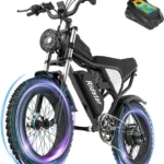 Ridstar Q20 1500W 48V 20AH gros pneu vélo électrique