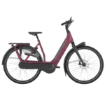 VTC électrique Gazelle Avignon C8 HMB