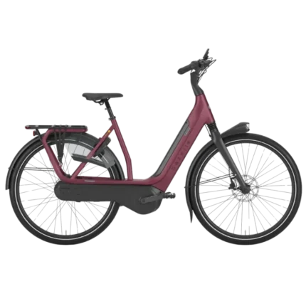 VTC électrique Gazelle Avignon C8 HMB