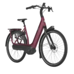 VTC électrique Gazelle Avignon C8 HMB – Image 2