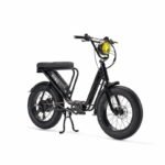 Vélo cargo électrique le Bolide