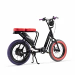 Vélo cargo électrique le Bolide x Patine – Image 10
