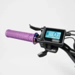 Vélo cargo électrique le Bolide x Patine – Image 6