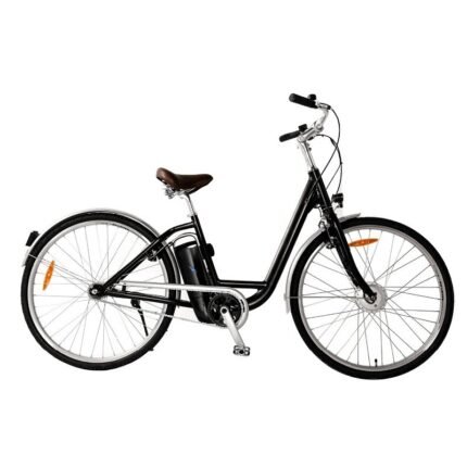 Vélo électrique Momentum Electric Model T