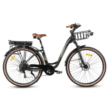 Vélo électrique SAMEBIKE RS-A07 500W Moteur