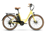 Vélo électrique SAMEBIKE TDE10Z 350W Moteur – Image 6