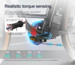 Vélo électrique SAMEBIKE TDE10Z 350W Moteur – Image 4