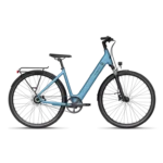 Vélo électrique Tenways CGO800S