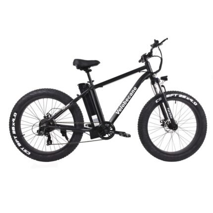Vélo électrique VTT fatbike Velobecane Fatbike