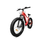 Vélo électrique YEEP.ME HOLIDAY Fat Bike 26" – Image 4