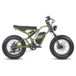 FAFREES F20 ULTRA 750W 20" Fat Bike E-Mountain Bike 48V 25Ah LG Batterie E-MTB – Image 4