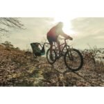 Remorque vélo charge 200 kg​ - Singletrailer II Sport - caribbean green – Image 9