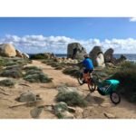 Remorque vélo charge 200 kg​ - Singletrailer II Sport - caribbean green – Image 11