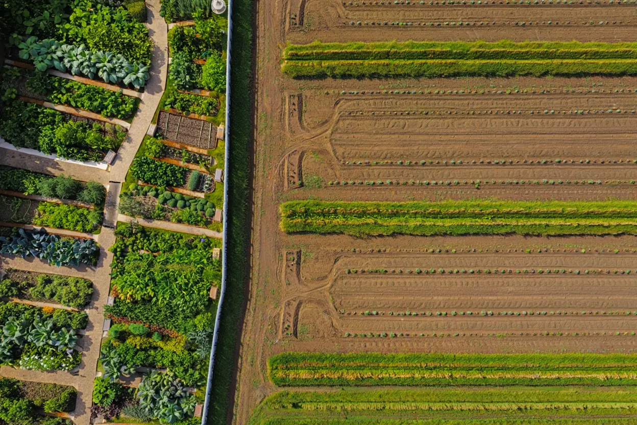 Comparaison petit et grand jardin